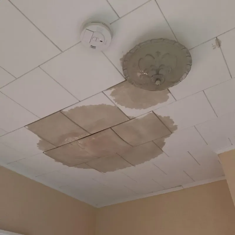 Ceiling Water Damage Repair in University Heights, IA