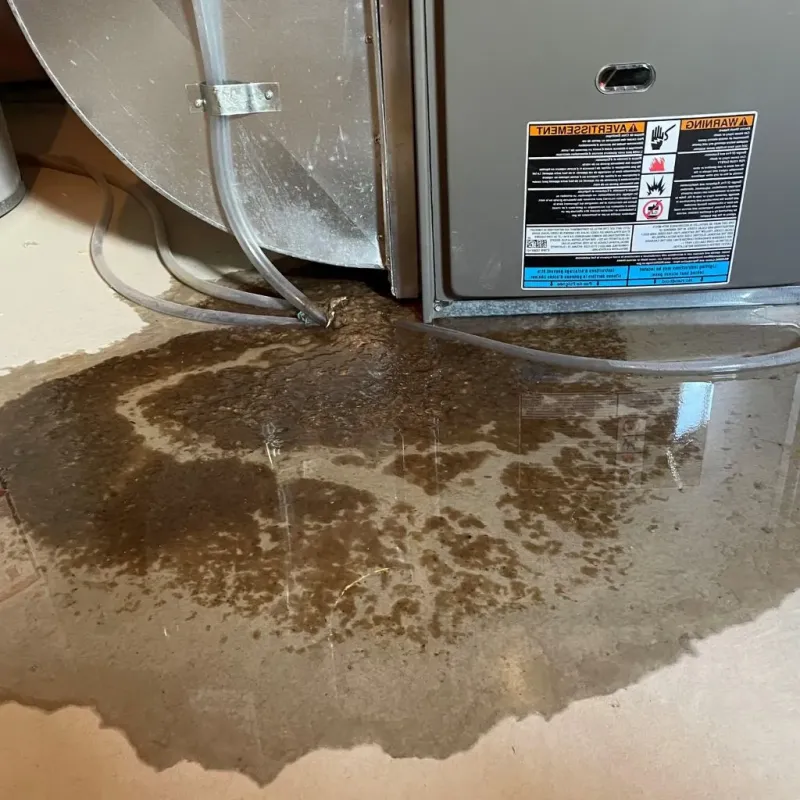Pipe Burst and Leak Restoration in University Heights, IA