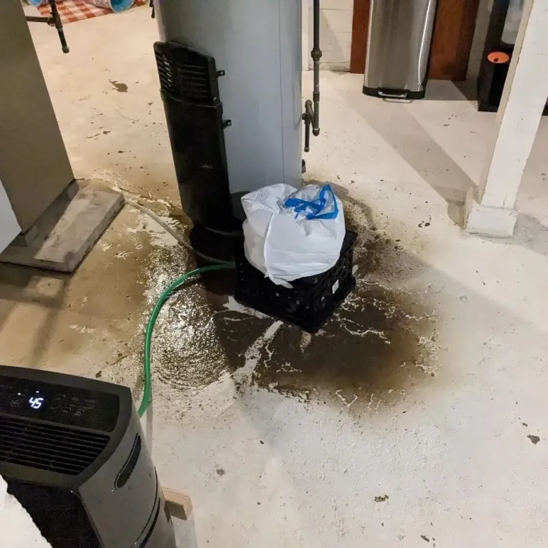 Sewage Backup Cleanup Service in University Heights, IA